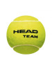 Bola de Tênis Head Team - 3 Bolas