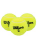 Bola de Tênis Wilson Championship Regular Duty Saibro - 3 Bolas