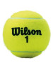Bola de Tênis Wilson Championship - 3 Bolas